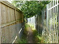 Footpath connecting allotments