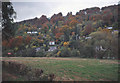 Autumn colours at Symonds Yat