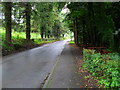 Dundrum Road approaching Tassagh