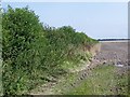 SU0876 : Ploughed field, Clyffe Pypard by Maigheach-gheal