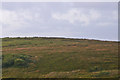 NR2560 : Scrubby hillside above the lochan near Cnoc a Chuil by C Michael Hogan
