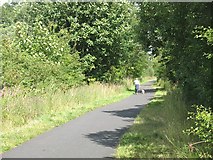 NS3458 : National Cycle Route 7,  Barr Castle by Richard Webb