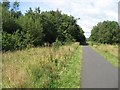 National Cycle Route 7  passing Kilbirnie