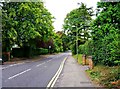 Warren Road, looking east