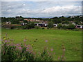 Train approaching Polmont Station