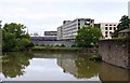 The Feeder Canal in Bristol