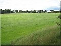 Grassland, Templandmuir