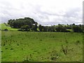 Edenderry Townland