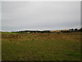 Balloo Lower Townland