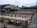 Abergavenny Livestock Mart