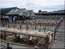 SO2914 : Abergavenny Livestock Mart by Stephen Wilks