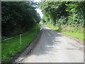 The tree-lined road leading to Sweethope