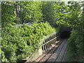 Railway cutting west of Acland Burghley School