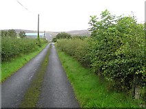 H4682 : Castleroddy Road by Kenneth  Allen
