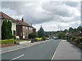 Allerton Grange Vale - viewed from Allerton Grange Rise