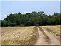 Footpath near Clyffe Pypard