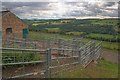 Cattle Pens, Ferns of Cloquhat