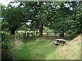 Chapel Bridge Picnic Site