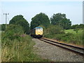 Class 31 D5557 on a locomotive hauled train