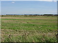 Fields East Of Thame