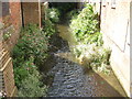 River Darenth in Chipstead