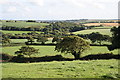 Farmland near Treveale