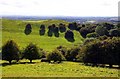 Looking across the Burton Dassett Hills