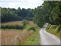 Lane towards Bradfield St George