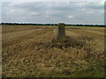 Trig pillar near Haltemprice Farm