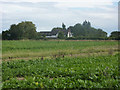TL9256 : Field near Capel Farm by Andrew Hill
