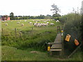 Lower Shuckburgh Footbridge