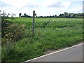 Public footpath to Messingham