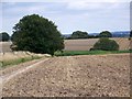 SU0626 : Harvested field, Bishopstone by Maigheach-gheal