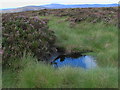 NO6781 : Boggy pool on moorland west of Goyle Hill by ian shiell