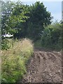 Footpath near Everleigh