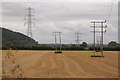 SO5637 : Pylons near Mordiford Bridge by Roger Davies