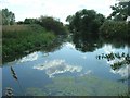 The River Hull, Tophill Low