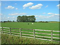 Farmland near Wilfholme Landing