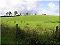 Cavan Townland