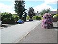 Unusual floral display in Station Road