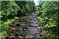 NY7852 : River West Allen by Peter McDermott
