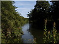 River Medway between East Farleigh and Barming