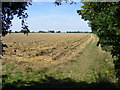 Footpath over the Fields