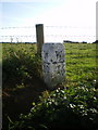 Whithorn (N) milestone - detail