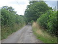 Green Lane near Green Lane Farm