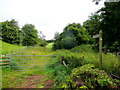 Footpath from Prothither Lane