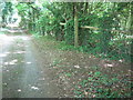 Footpath junction near Kingswood Hill Lodge