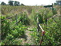 Footpath junction near footbridge