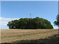 Communications mast near Duncton