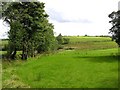 Curly Townland